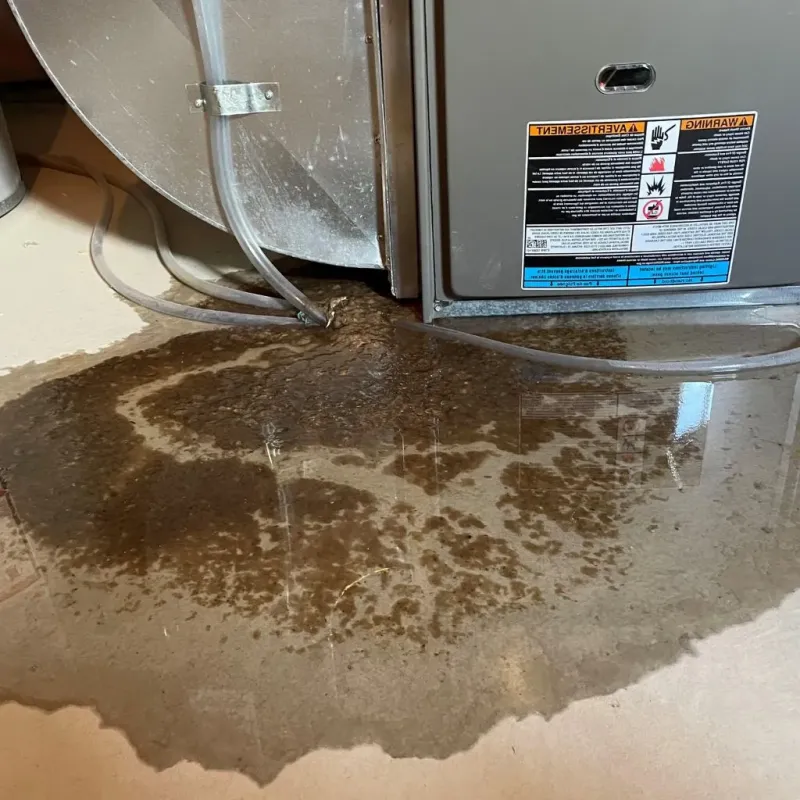 Pipe Burst and Leak Restoration in Aitkin County, MN